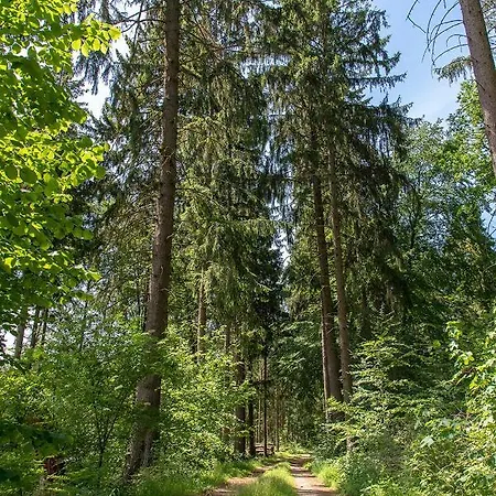Bungis Ferien Direkt Am Grimnitzsee, Karree 07 Ferienhaus Joachimsthal